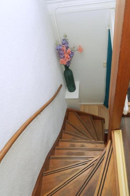 הוילה זנדוורט Sidestreet House מראה חיצוני תמונה